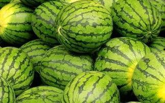 朝阳吃瓜51cg 吃瓜视频每日大赛,每日大赛精彩瞬间大盘点