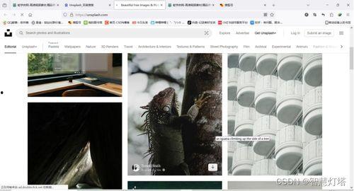 抖音混剪 独家爆料素材,混剪素材背后的独家爆料！