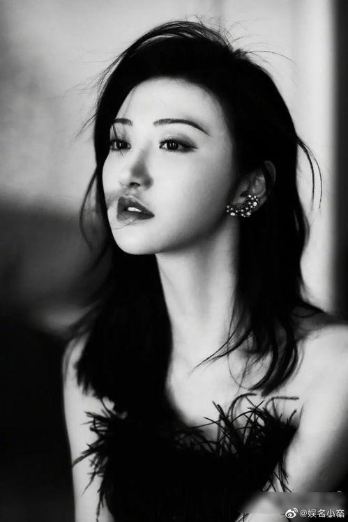 明星黑料最新,明星黑料曝光，真相背后引人深思