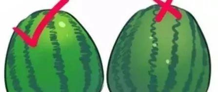 瓜在体育圈是什么意思 黑热点,揭秘体育界的“黑热点”之谜