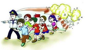 社会热点事件素材,XX事件背后的深思与启示