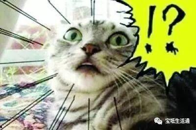 独家爆料海角大神之邻居 51cg今日热门大瓜莫里秀搞笑,51cg独家爆料，莫里秀搞笑事件引热议