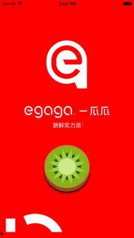 不打烊 网红大瓜下载,网红大瓜下载背后的秘密与精彩瞬间