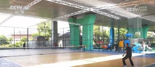 体育圈的天花板